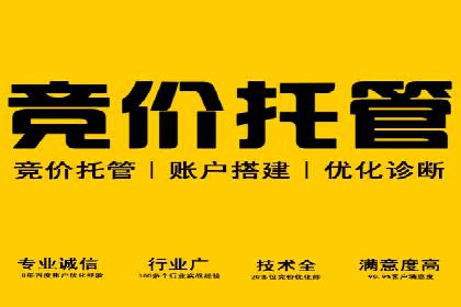 竞价广告在XX行业的成功应用案例